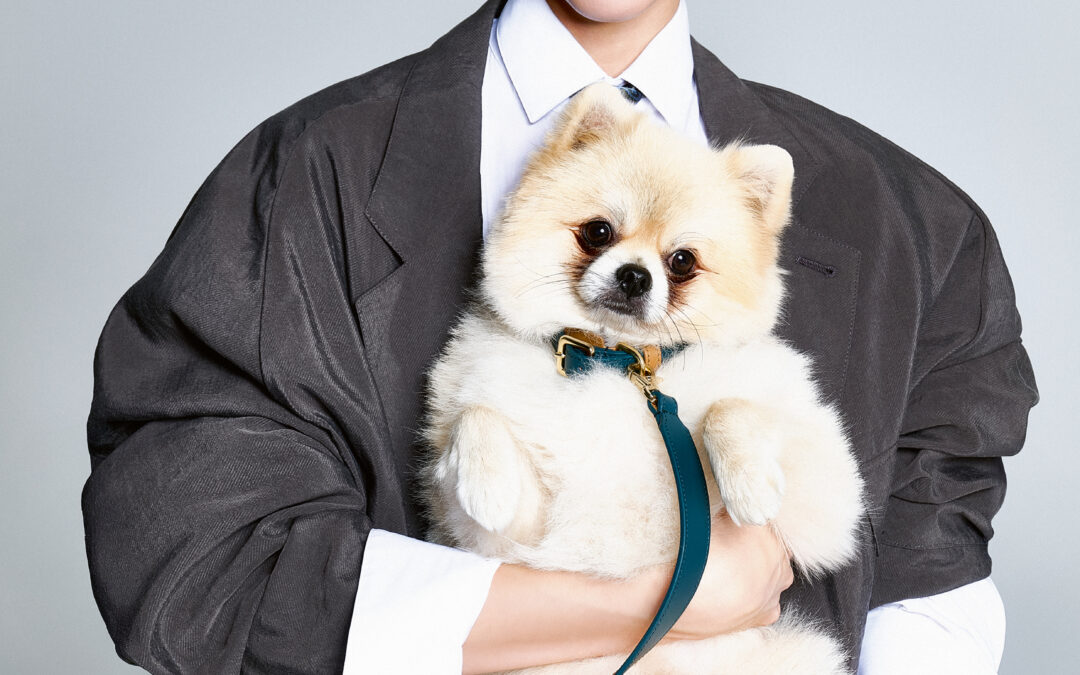 Giorgio Armani x Poldo Dog : la collection s’agrandit
