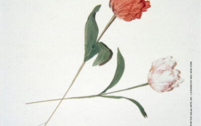 SAINT LAURENT RIVE DROITE x ANDY WARHOL: L&rsquo;EXPOSITION