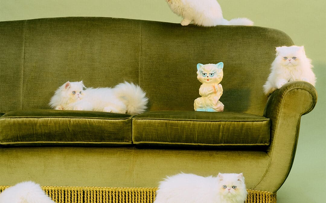 VALENTINO GARAVANI : LE CHAT DE LA MAISON