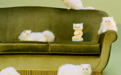 VALENTINO GARAVANI : LE CHAT DE LA MAISON