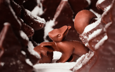 Louis Fouquet: ses délices chocolatés de Noël