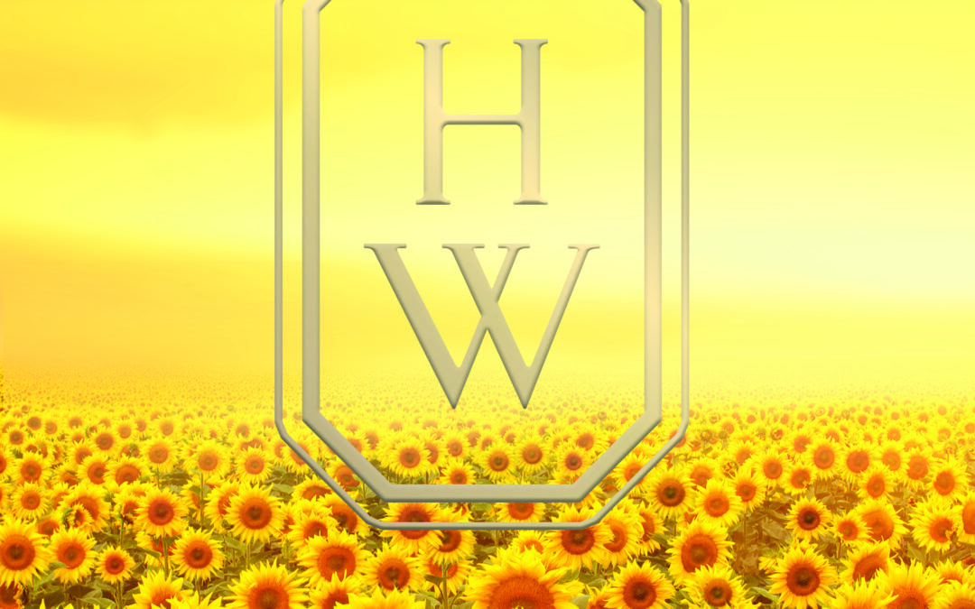 La Collection Sunflower par HARRY WINSTON