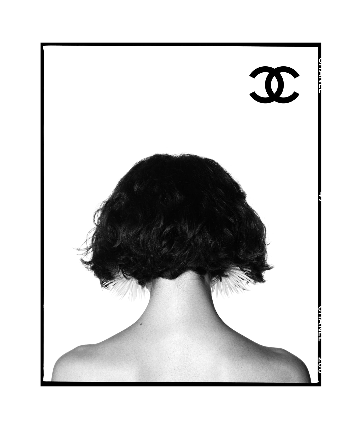 chanel_photograph-by-david-bailey_copyright-chanel3-LD